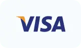 Visa card payment icon