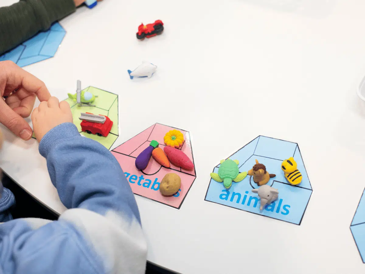 Chadstone Shichida Sorting Activity