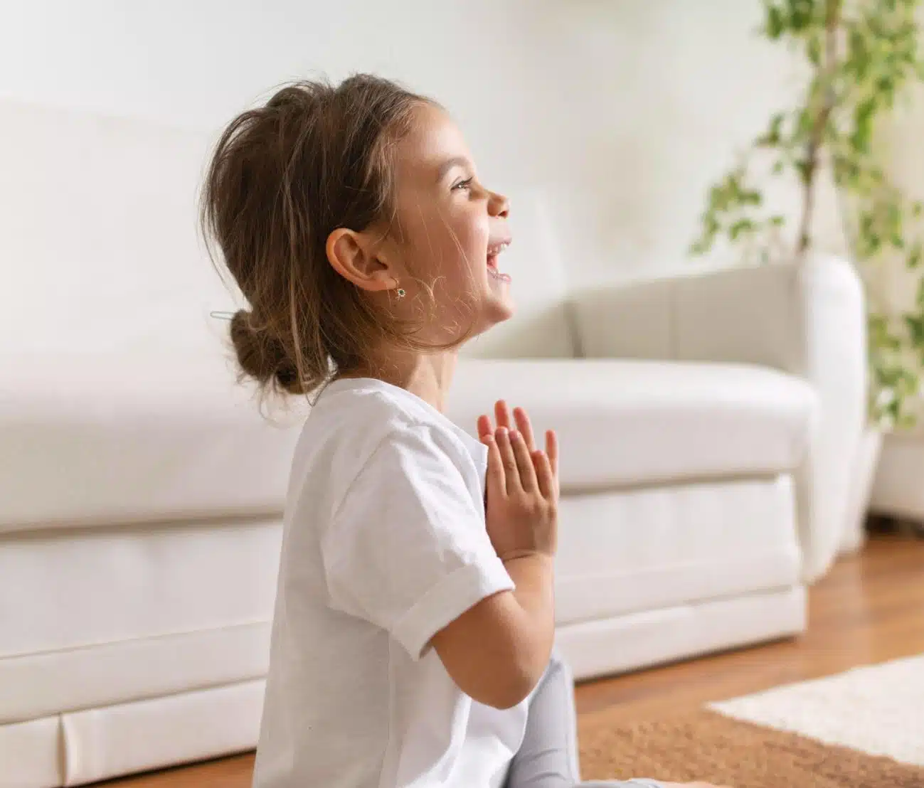Emotional regulation activities