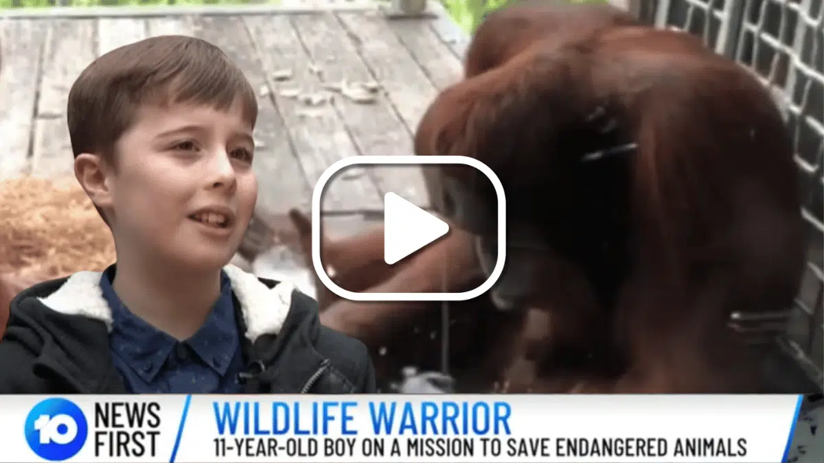 Luke Eaton Shichida learner and animal advocate 2016