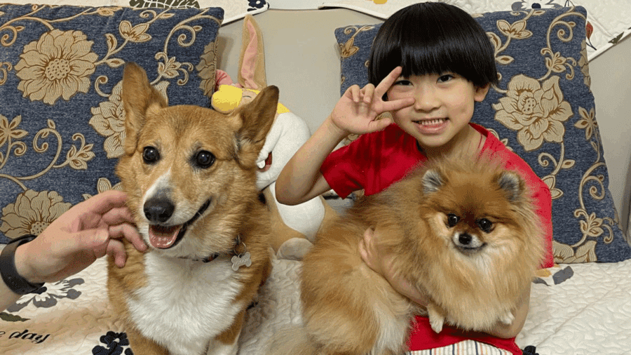 Shichida learner with his dogs