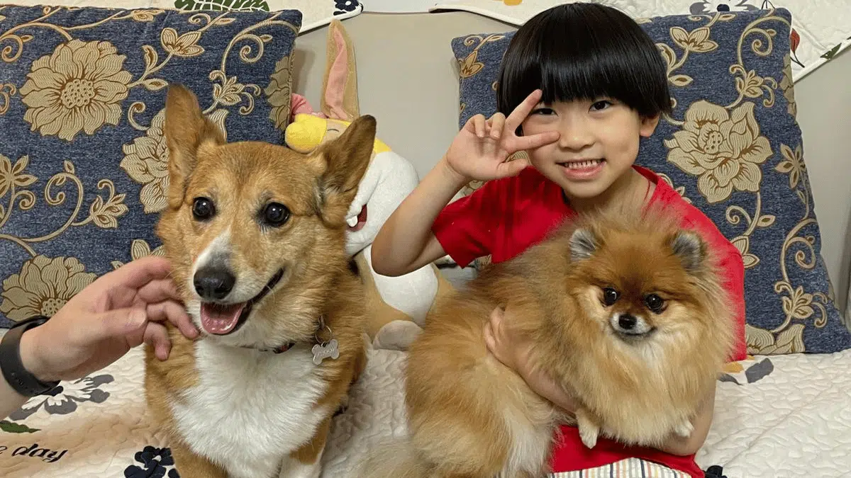 Shichida learner with his dogs