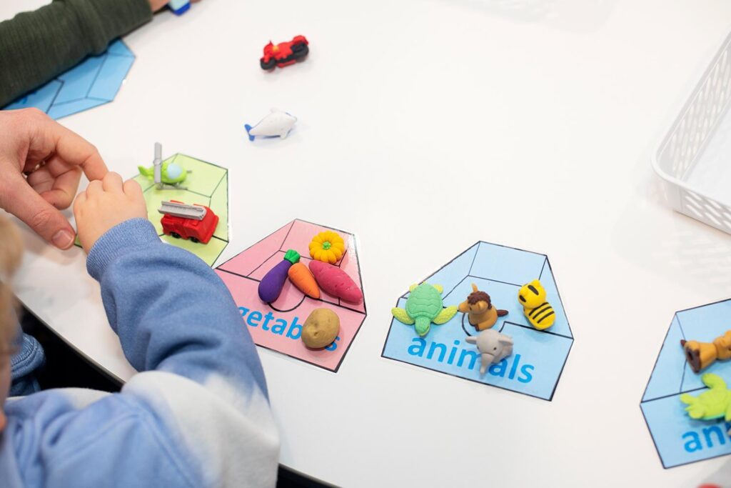 Image by Shichida Australia: Category sorting may look like simple play, but it helps preschoolers build vocabulary, focus, memory, and early thinking skills.