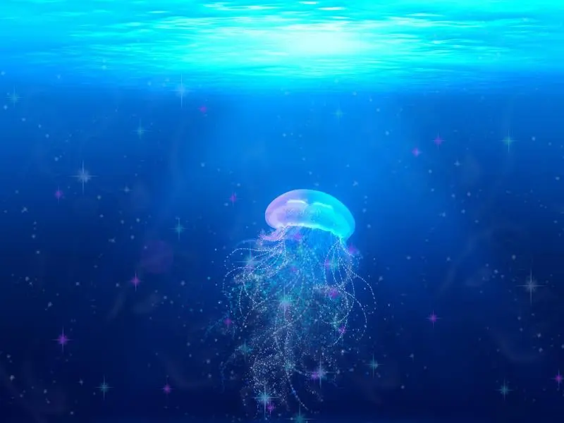 Like to go with the flow You may have a Jellyfish parenting style