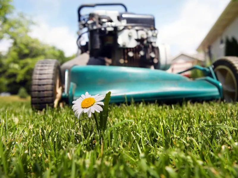 If you’re constantly removing every obstacle from your child’s way, you might be a lawnmower parent